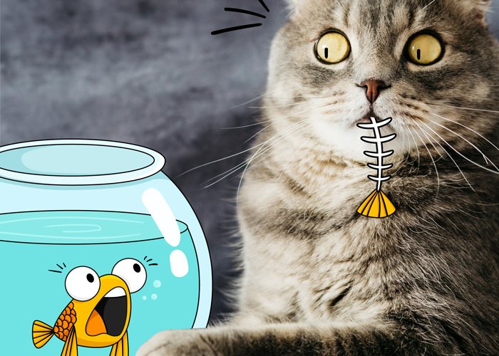 doodle kucing makan ikan dalam akuarium - Kenapa Ya, Kog Tiba-Tiba Kucing Tidak Mau Makan?