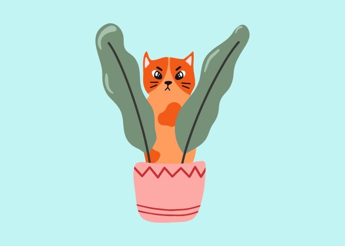 kucing sembunyi dibalik tanaman - Kenapa Ya, Kog Tiba-Tiba Kucing Tidak Mau Makan?