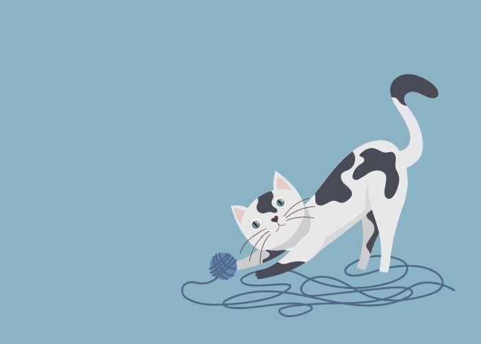 kucing yang baru asik mainan bola benang - Kenapa Ya, Kog Tiba-Tiba Kucing Tidak Mau Makan?