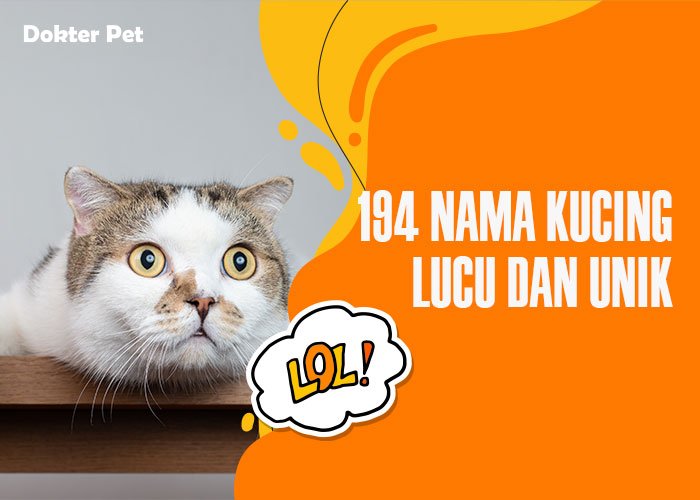 194 Nama Kucing Lucu dan Unik di Tahun 2023