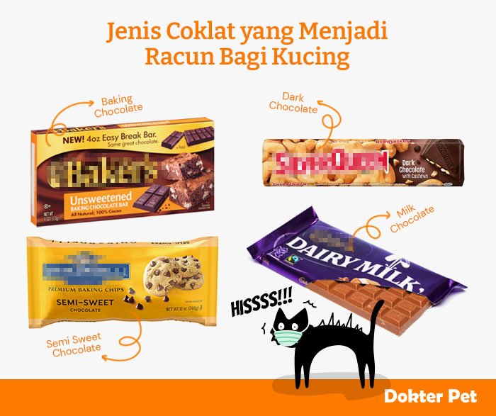 Jenis coklat yang dapat menjadi racun mematikan bagi kucing bila dimakan