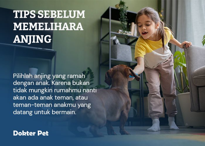 tips sebelum memelihara anjing pilih anjing yang ramah dengan anak