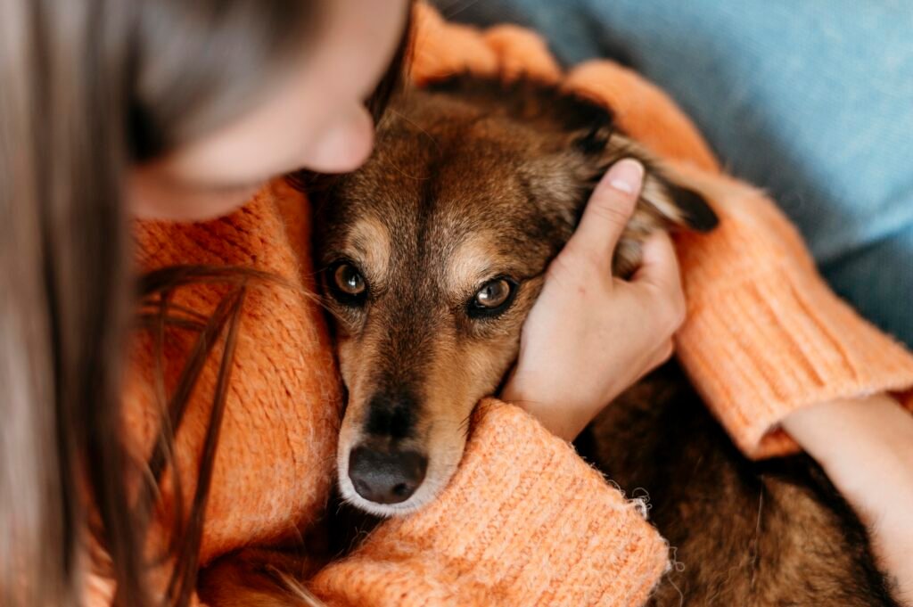 stress pada anjing dapat mengakibatkan anjing suka mengubur benda yang ia miliki