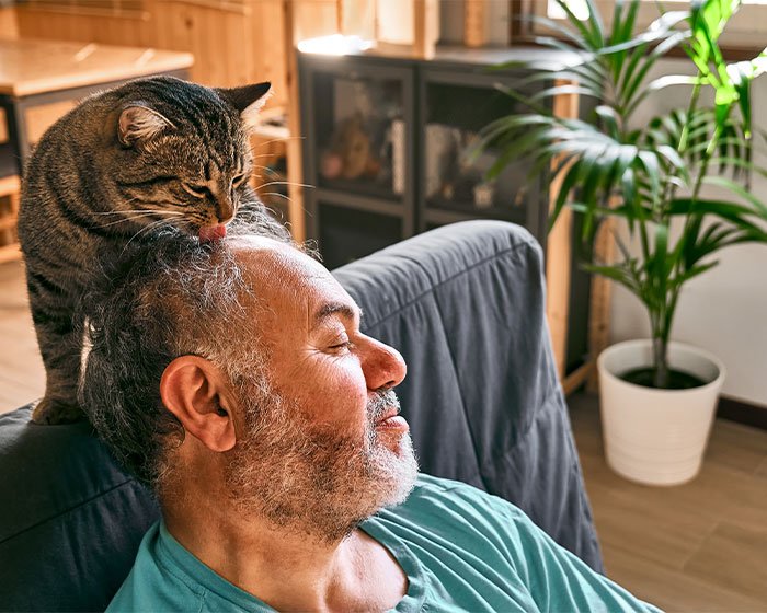 menjilat sebagai cara kucing makan rambut manusia