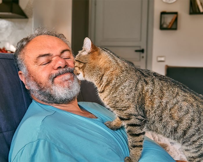 kucing menjilati wajah majikannya - Kucing Makan Rambut: Kenapa Kucing Suka Melakukannya dan Bagaimana Mengatasinya