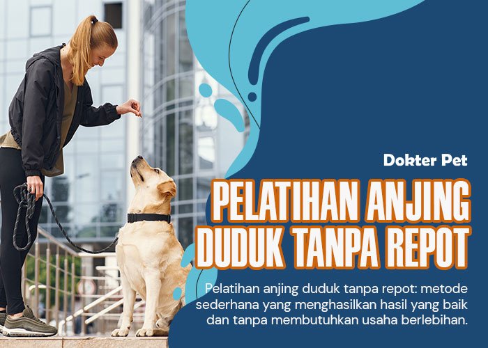 Panduan Lengkap Berlari Bersama Anjing Kesayangan Anda