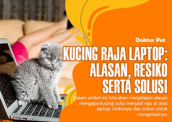 Misteri Dibalik Layar: Kucing yang Merajai Laptop Anda
