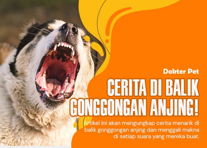 Memahami Bahasa Anjing: Membaca Makna di Balik Gonggongannya!