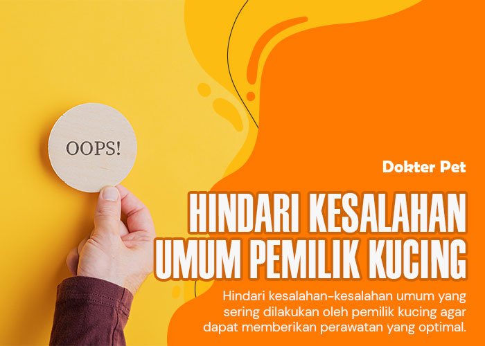 Cintai Kucing Peliharaanmu dengan Lebih Baik: 10 Kesalahan Pemilik Kucing yang Sering Dilakukan