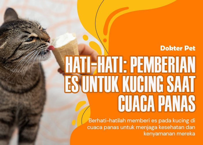 Hati-Hati: Panduan Aman Memberi Es untuk Kucing Di Kala Cuaca Panas