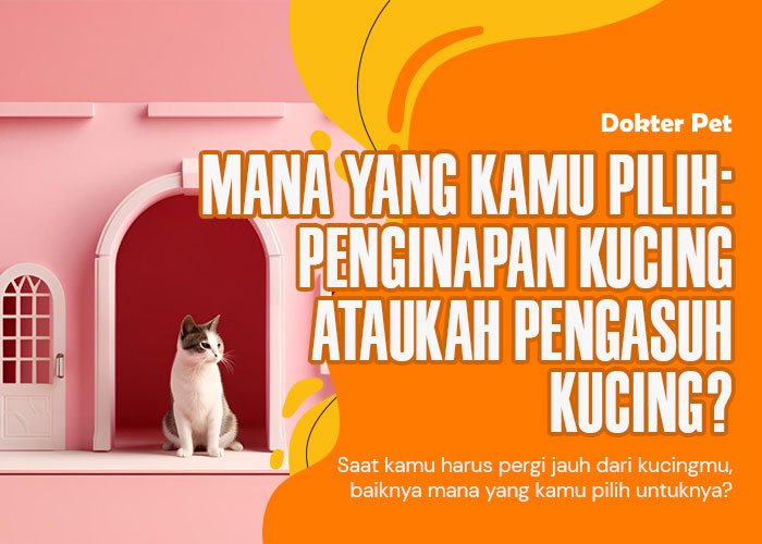 Penginapan Kucing: Pilihan Tepat Saat Kamu Pergi Jauh??