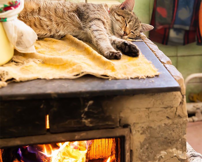 kucing tidur di atas perapian - Udah Ada Kasur Empuk Di Rumah Kok Malah Kucing Tidur Sembarangan Tempat Ya?
