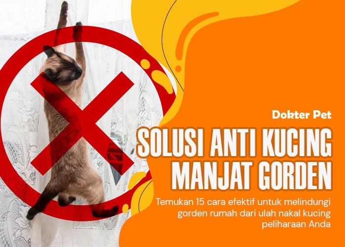 15 Metode Efektif Mencegah Kucing Manjat Gorden di Rumah Anda