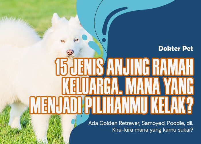 15 Jenis Anjing Ramah Keluarga. Mana Yang Menjadi Pilihanmu Kelak?