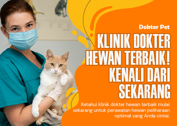 Jangan Salah Pilih! Yuk Kenali Tanda-tanda Klinik Dokter Hewan Terbaik