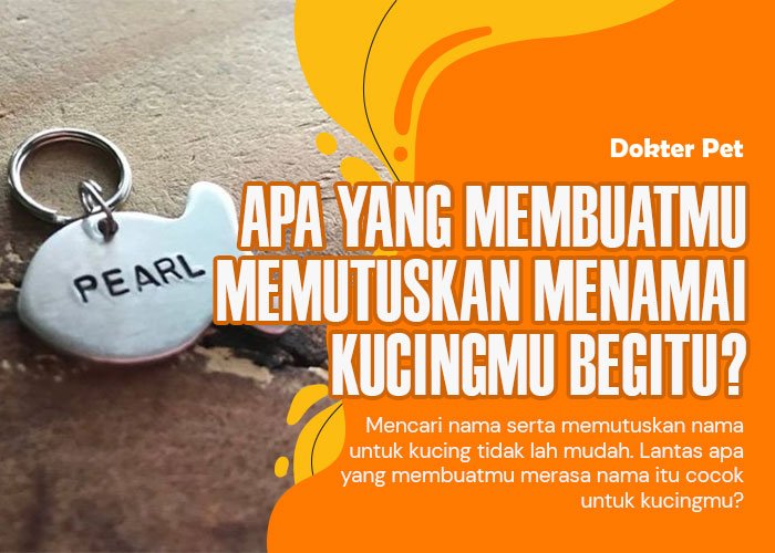 Unik? Lucu? Apa yang membuatmu memberikan nama kucingmu itu?