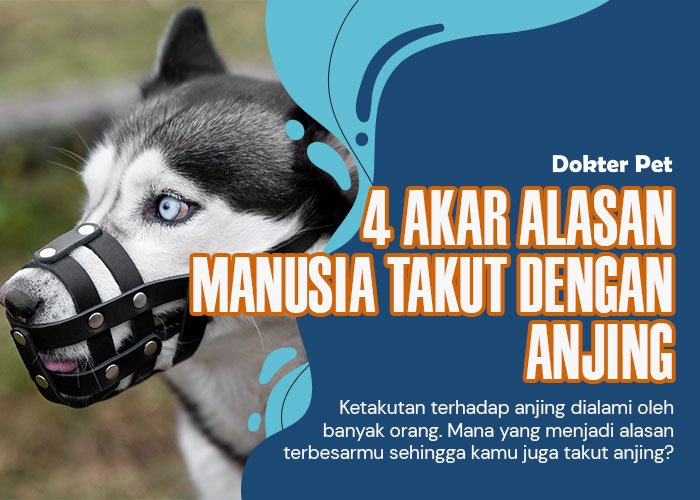 Manusia takut anjing: Memahami akar ketakutan yang melanda banyak orang