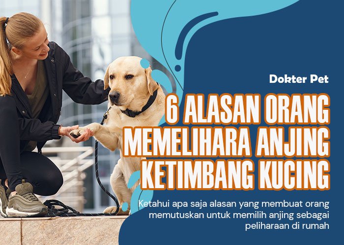 Memelihara anjing ketimbang kucing: 6 Alasan kuat mengapa hal itu menjadi pilihan terbaik banyak orang