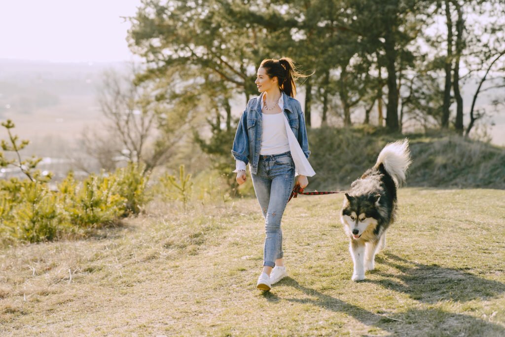 stylish girl sunny field with dog - Memelihara anjing ketimbang kucing: 6 Alasan kuat mengapa hal itu menjadi pilihan terbaik banyak orang