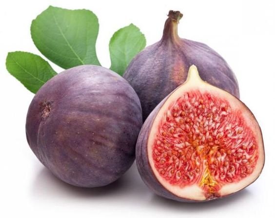 0d99d056cb36e8d317d3bd822f2a77b3 - Buah terlarang untuk kucing: 9 Jenis buah yang harus dihindari pemilik kucing