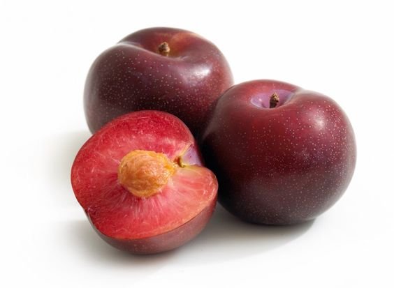 8a372f95fd50e17fa75bab0e3846d047 - Buah terlarang untuk kucing: 9 Jenis buah yang harus dihindari pemilik kucing