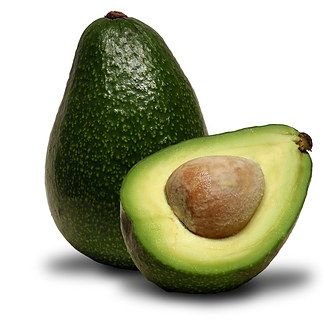 a910f76ccc5a6a547078d18eb4a3189d - Buah terlarang untuk kucing: 9 Jenis buah yang harus dihindari pemilik kucing