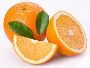 jeruk termasuk buah terlarang untuk kucing