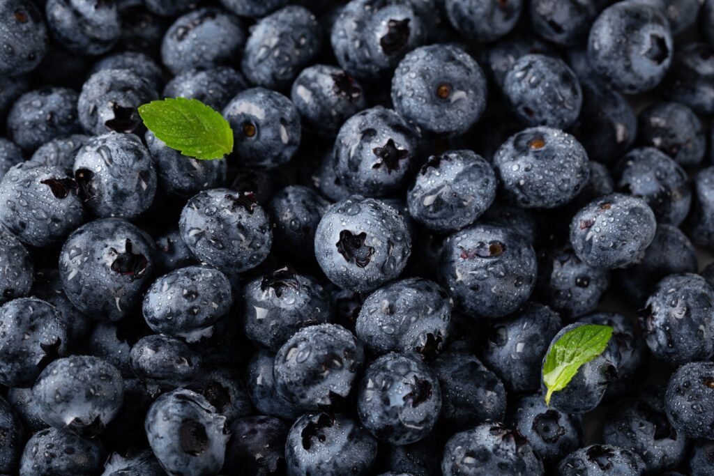 closeup vertical shot blueberries with water droplets leaves - Kucing makan buah: Amankah hal itu untuknya?