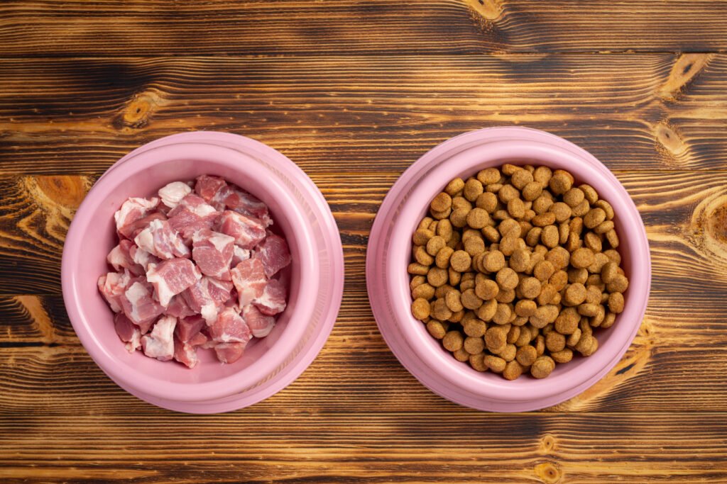 healthy fresh pet food ingredients dark surface - Mengapa kucing tidak menghabiskan makanannya? Temukan penjelasannya disini!