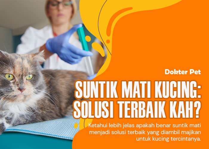 Suntik mati kucing: Pilihan terakhir atau solusi terbaik?