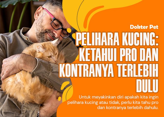 Pelihara Kucing: Ketahui Pro dan Kontra Sebelum Memilikinya