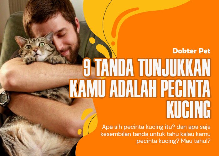 9 Tanda kamu telah menjadi pecinta kucing