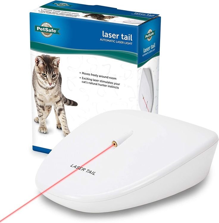 kucing suka mainan laser