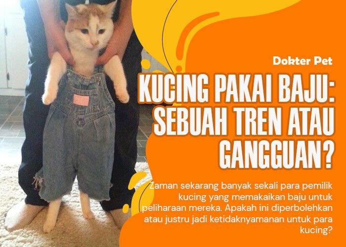 Kucing Pakai Kostum: Tren Menggemaskan atau Gangguan bagi Hewan?