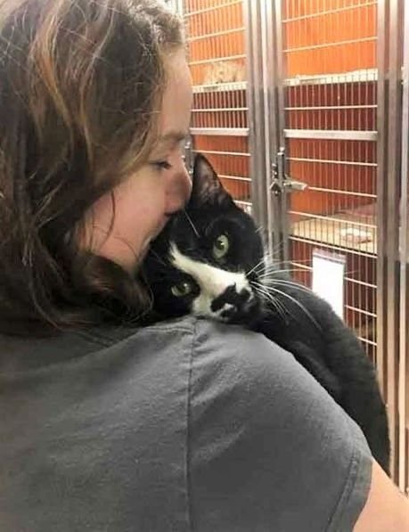 kucing milih kamu sebagai majikannya