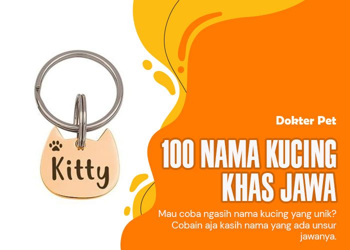 100 Nama Kucing Khas Jawa yang Penuh Makna dan Budaya untuk Kucingmu
