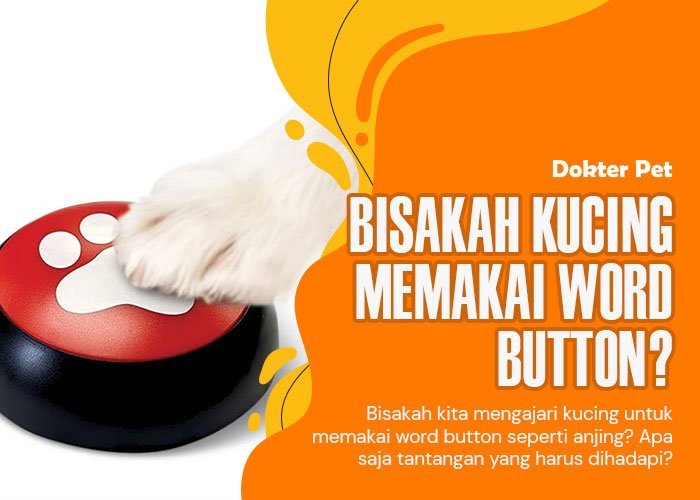 Bisakah Kucing Memakai Word Button? Fakta dan Tantangannya
