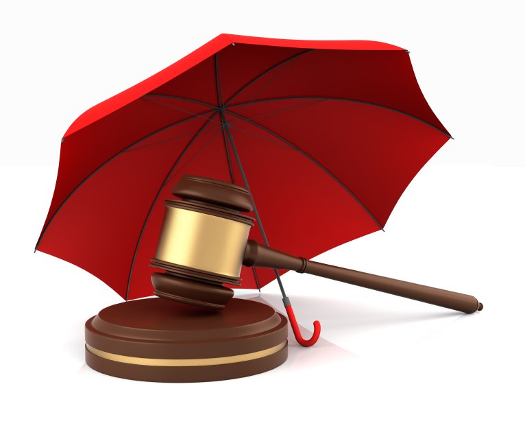 legal umbrella - Anjing bantuan medis: Terobosan yang terlupakan dalam dunia kesehatan Indonesia!