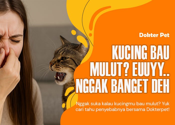Bau Mulut Kucing Tak Kunjung Hilang? Ini 7 Penyebab yang Sering Diabaikan!